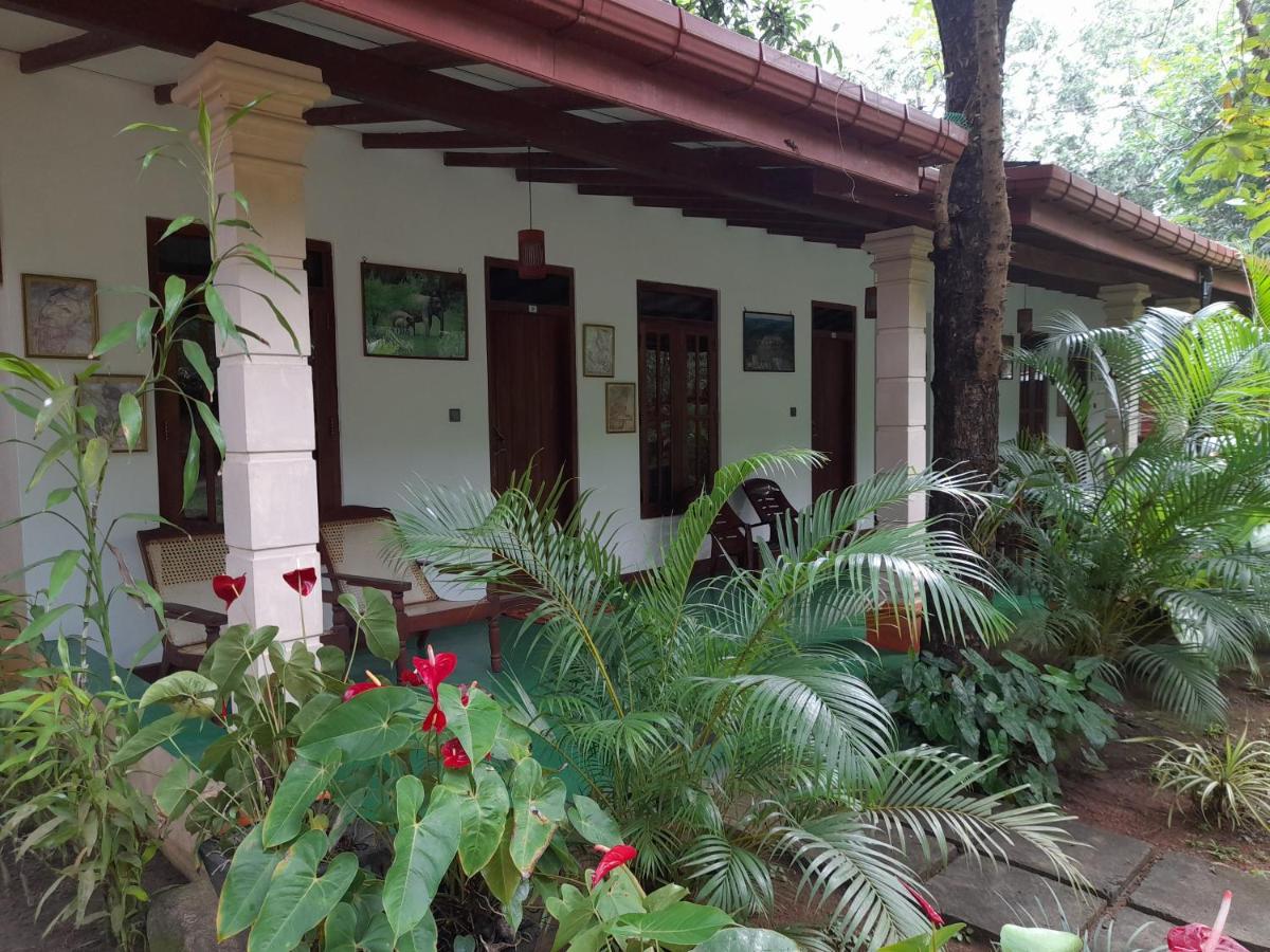 Sigiri Jungle Villa Сигирия Экстерьер фото