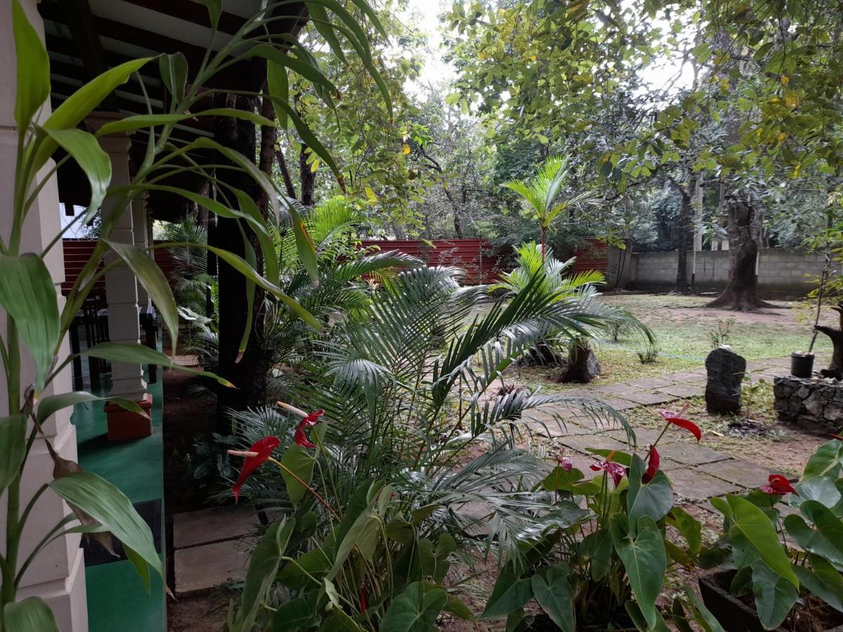 Sigiri Jungle Villa Сигирия Экстерьер фото